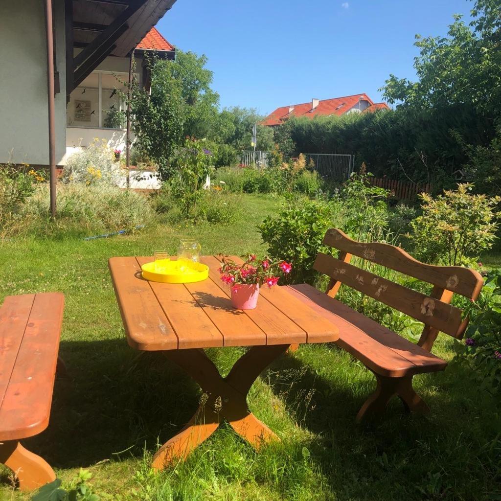 Dom Natura Grzybowo  Kültér fotó